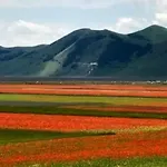 Il Nido Rosso Nyaraló