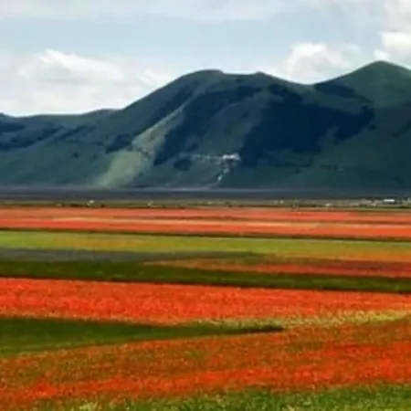 Il Nido Rosso بيت للعطل