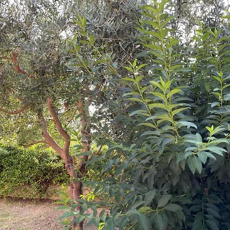 Il Nido Rosso Foligno